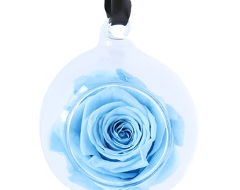 Baby Blue Rose in Display Glass Bauble | Preserved Everlasting Rose | Anniversary, Proposal, Gender Reveal, Baby Shower, Mother's Day