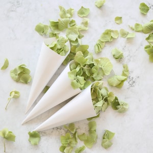 Paquet de cônes de confettis de mariage | Pétales de rose et d'hortensia séchés | Confettis de vrais pétales | 1 litre de confettis et 10 cornets pré-roulés