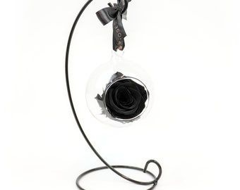 Black Timeless Hanging Rose with Stand | Forever Preserved 1 year Rose Gift | Luxury Gift for Her | Birthday, Anniversary