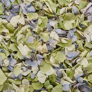 Springtime Mix | Real Dried Rose and Hydrangea Petals | Biodegradable Petals | Petals for Wedding Confetti, Tablescaping, Décor, Crafting