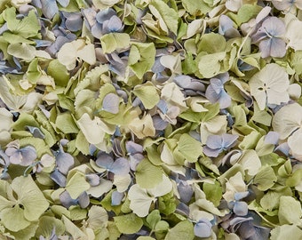 Springtime Mix | Real Dried Rose and Hydrangea Petals | Biodegradable Petals | Petals for Wedding Confetti, Tablescaping, Décor, Crafting