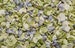 Luxury Springtime Mix Hydrangea Petals | Biodegradable Freeze Dried Petals | Wedding Confetti, Table Decor, Aisle Runners, Baby Showers 