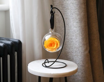 Yellow Hanging Preserved Rose in Glass Sphere with Stand | Infinity Yellow Rose | Luxury Gift for Her | Home Flower Décor | Mother's Day