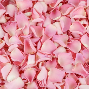Candy Floss Pink Dried Rose Petals | Luxury Biodegradable Rose Petal Confetti | Petals for Weddings, Celebrations, Decoration and Events