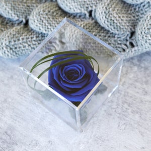 Royal Blue Forever Rose Cube Gift | Preserved Real Rose | Lasts 1 Year | Gift for Birthday, Anniversary, Bridesmaid Proposal, Christmas