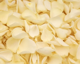 Ivory Dried Rose Petals | Luxury Biodegradable Rose Petal Confetti | Romantic Petals | Petals for Weddings, Celebrations and Events