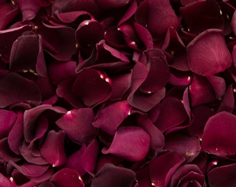 Burgundy Dried Rose Petals | Luxury Biodegradable Rose Petal Confetti | Romantic Petals | Petals for Weddings, Celebrations and Events