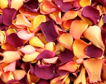 Autumn Mix Dried Rose Petals | Biodegradable Freeze-Dried Petals | Rose Petals for Wedding Confetti, Tablescaping, Event Décor, Crafting