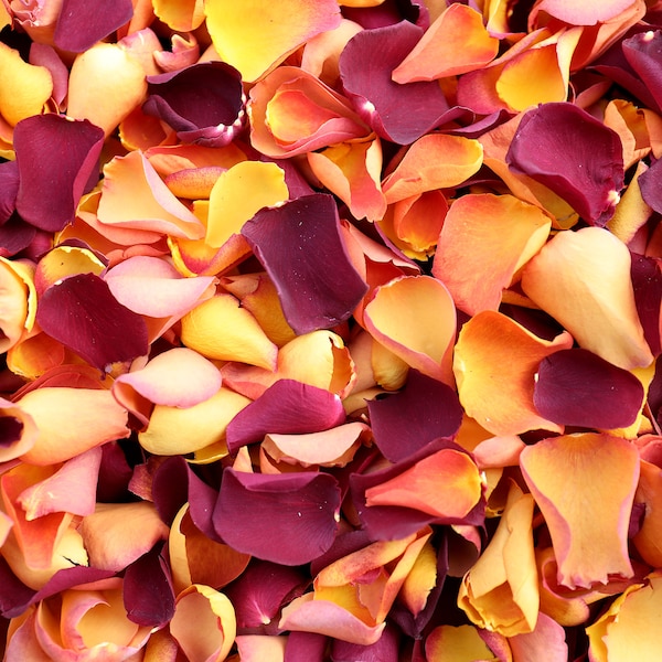 Autumn Mix Dried Rose Petals | Biodegradable Freeze-Dried Petals | Rose Petals for Wedding Confetti, Tablescaping, Event Décor, Crafting