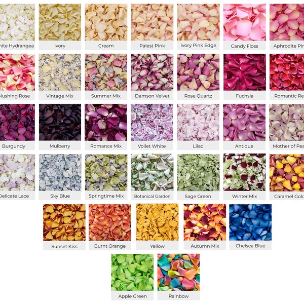 Dried Flower Petals Etsy
