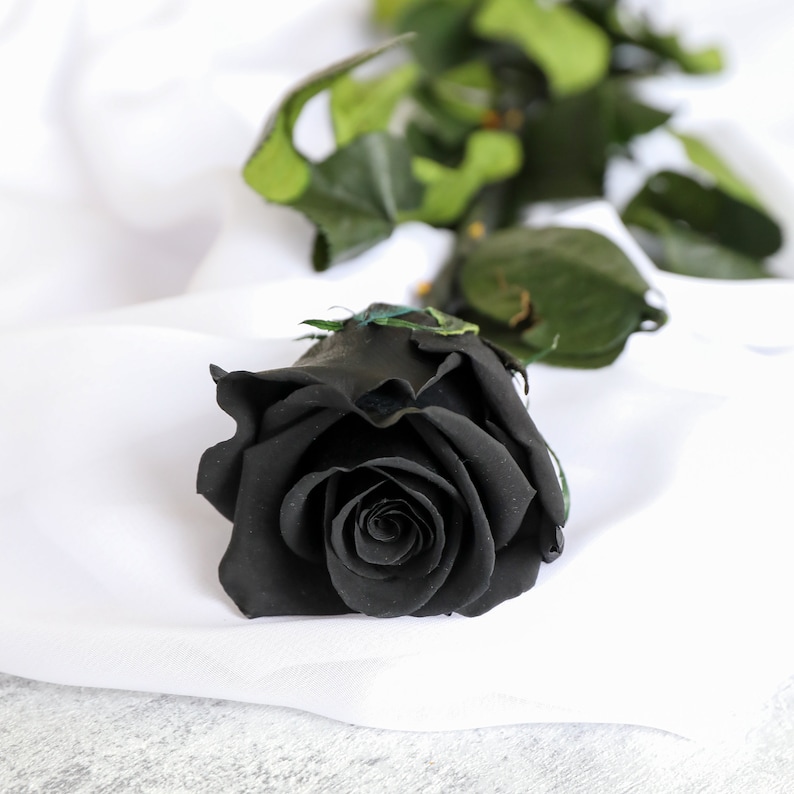 Luxury Preserved Single Black Rose in a Gift Box Infinity Luxury Preserved Single Black Rose in a Gift Box Infinity