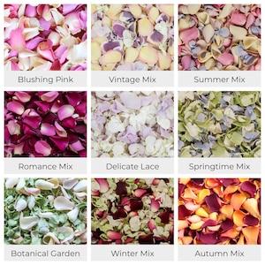 Wedding Confetti - Rose Petals | Hydrangea Petals | Biodegradable Freeze Dried Petals | Table Decor, Aisle Runners, Flower Girl Petals image 7