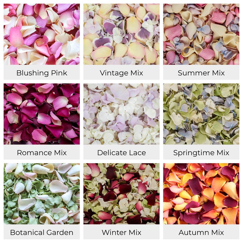 Wedding Confetti - Rose Petals | Hydrangea Petals | Biodegradable Freeze Dried Petals | Table Decor, Aisle Runners, Flower Girl Petals image 7