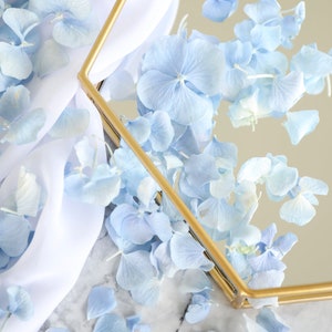 Sky Blue Dried Hydrangea Petals Real Biodegradable Petals Petals for Wedding Confetti, Baby Showers, Proposals, Event Décor, Crafting image 3