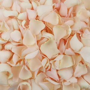 Pale Pink Dried Rose Petals | Luxury Biodegradable Rose Petal Confetti | Romantic Petals | Petals for Weddings, Celebrations and Events