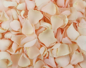 Lichtroze gedroogde rozenblaadjes | Luxe biologisch afbreekbare rozenblaadjesconfetti | Romantische bloemblaadjes | Bloemblaadjes voor bruiloften, feesten en evenementen