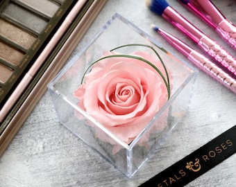 Pink Forever Rose Cube Gift | Preserved Forever Real Rose lasts 1 year | Gift for Birthday, Anniversary, Bridesmaid Proposal | Christmas