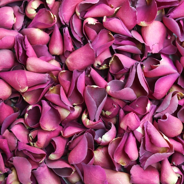 Fuchsia Dried Rose Petals | Luxury Biodegradable Rose Petal Confetti | Romantic Petals | Petals for Weddings, Celebrations and Events