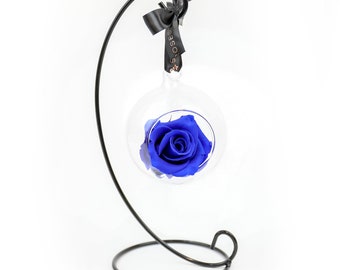 Royal Blue Hanging Forever Rose in Glass Bauble with Stand | Infinity Preserved, Real 1 Year Rose | Thoughtful Gift, Birthday, Mother's Day
