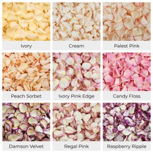Wedding Confetti - Rose Petals | Hydrangea Petals | Biodegradable Freeze Dried Petals | Table Decor, Aisle Runners, Flower Girl Petals image 3