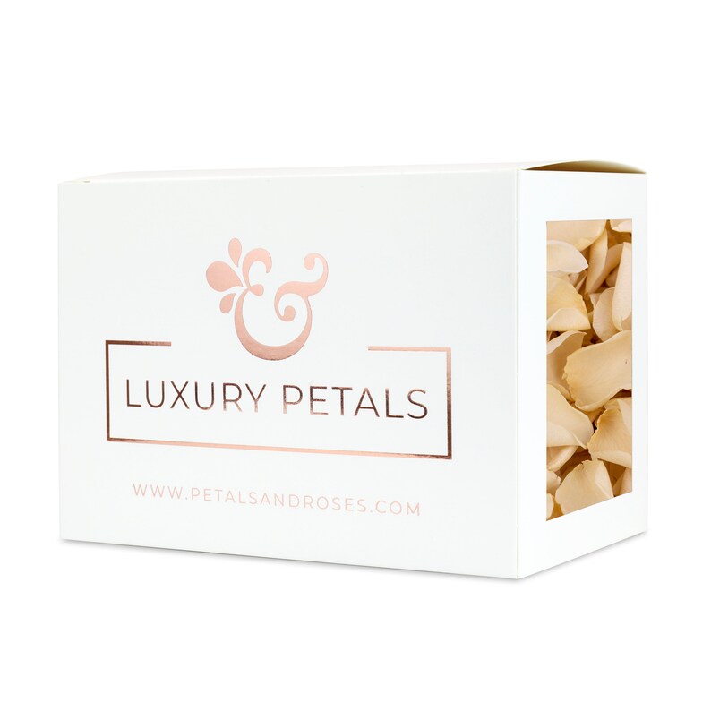 Table Decor Luxury Cream Rose Petals Aisle Runners Biodegradable Freeze Dried Petals Valentines Day Throwing Confetti Proposals