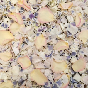 May include: A close-up image of a mixture of light pink, white, and lavender flower petals. The petals are scattered randomly and create a soft, romantic look.