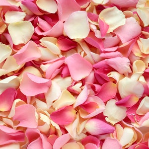Petali di rosa essiccati rosa arrossato / Petali liofilizzati biodegradabili / Petali di rosa per coriandoli da matrimonio, decorazioni da tavola, decorazioni per eventi, artigianato