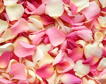 Blushing Pink Dried Rose Petals | Biodegradable Freeze-Dried Petals | Rose Petals for Wedding Confetti, Tablescaping, Event Décor, Crafting