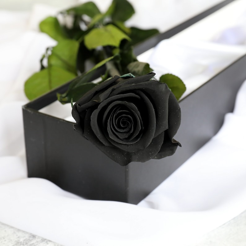 Luxury Preserved Single Black Rose in a Gift Box Infinity Etsy