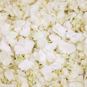 White Dried Hydrangea Petals Real Biodegradable Petals Petals for Wedding Confetti, Baby Showers, Proposals, Event Décor, Crafting image 1