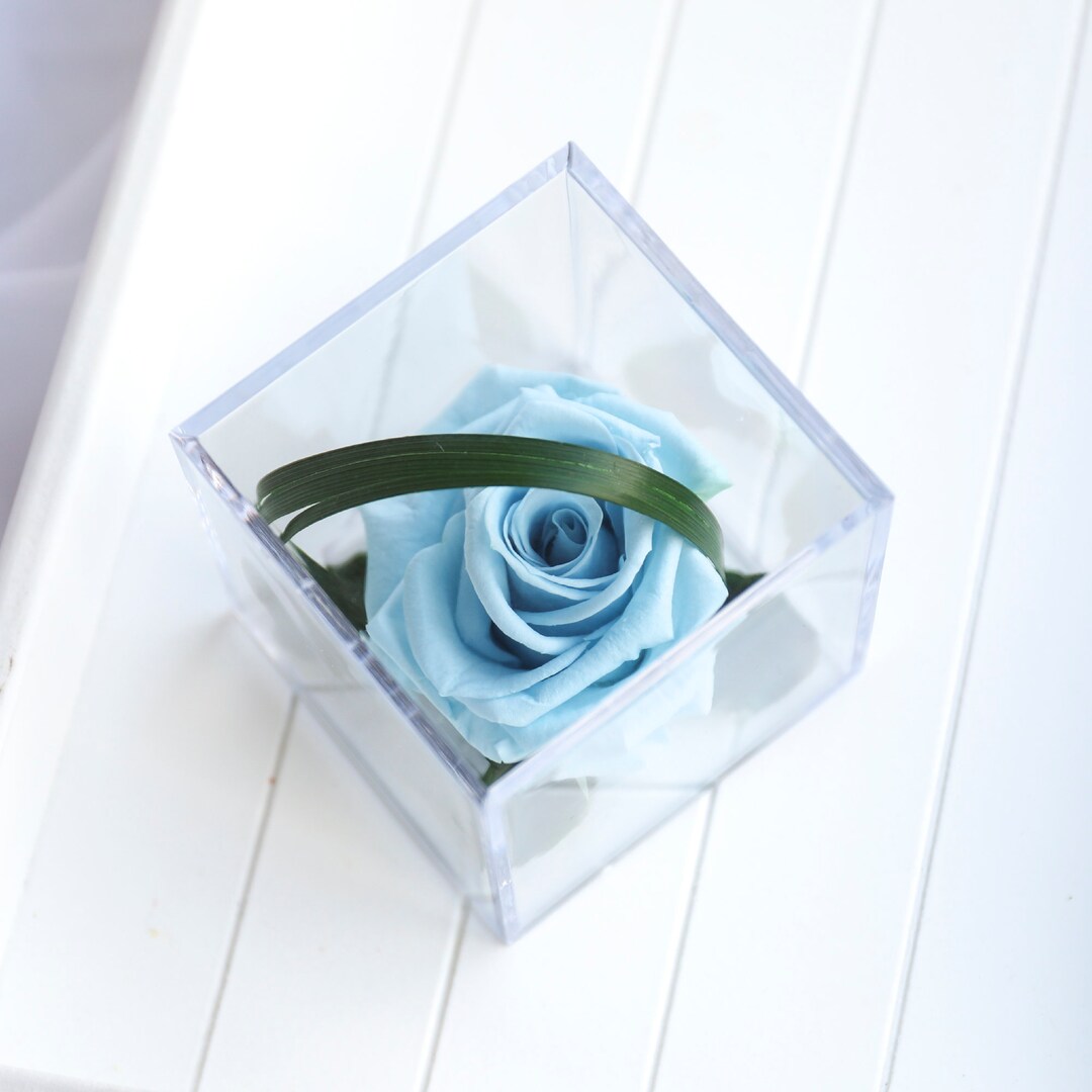 Baby Blue Forever Rose Gift Preserved Rose in Luxury Display Etsy