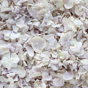 Lilac Dried Hydrangea Petals | Real Biodegradable Petals | Petals for Wedding Confetti, Proposals, Event Décor, Crafting