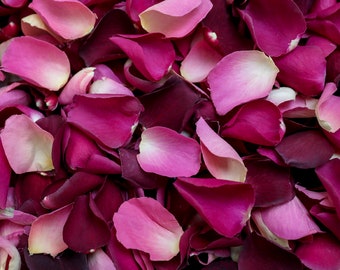 Pétales de rose séchés romantiques | Rose, crème et bordeaux | Confettis de luxe biodégradables aux pétales de rose | Pétales pour mariages, fêtes et événements