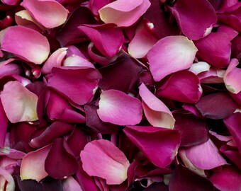 Romance Dried Rose Petals | Pink, Cream and Burgundy | Luxury Biodegradable Rose Petal Confetti | Petals for Weddings, Parties and Events
