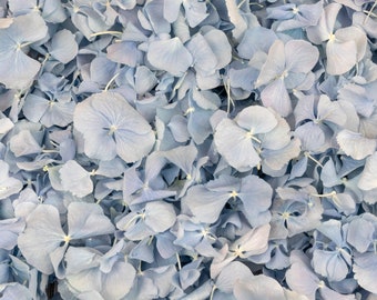 Petali di ortensia essiccati azzurro cielo / Petali reali biodegradabili / Petali per coriandoli nuziali, docce per bambini, proposte, decorazioni per eventi, artigianato