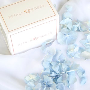 Sky Blue Dried Hydrangea Petals Real Biodegradable Petals Petals for Wedding Confetti, Baby Showers, Proposals, Event Décor, Crafting image 2