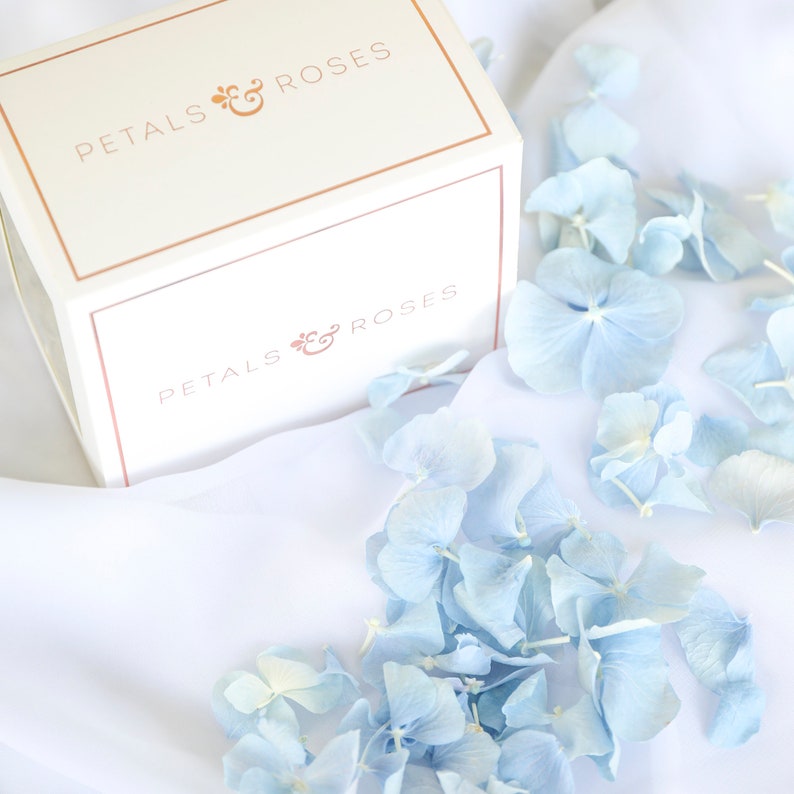 Sky Blue Freeze Dried Hydrangea Petals Biodegradable Petals - Etsy