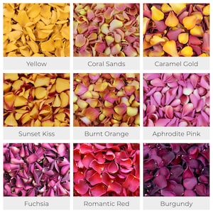 Wedding Confetti - Rose Petals | Hydrangea Petals | Biodegradable Freeze Dried Petals | Table Decor, Aisle Runners, Flower Girl Petals image 4