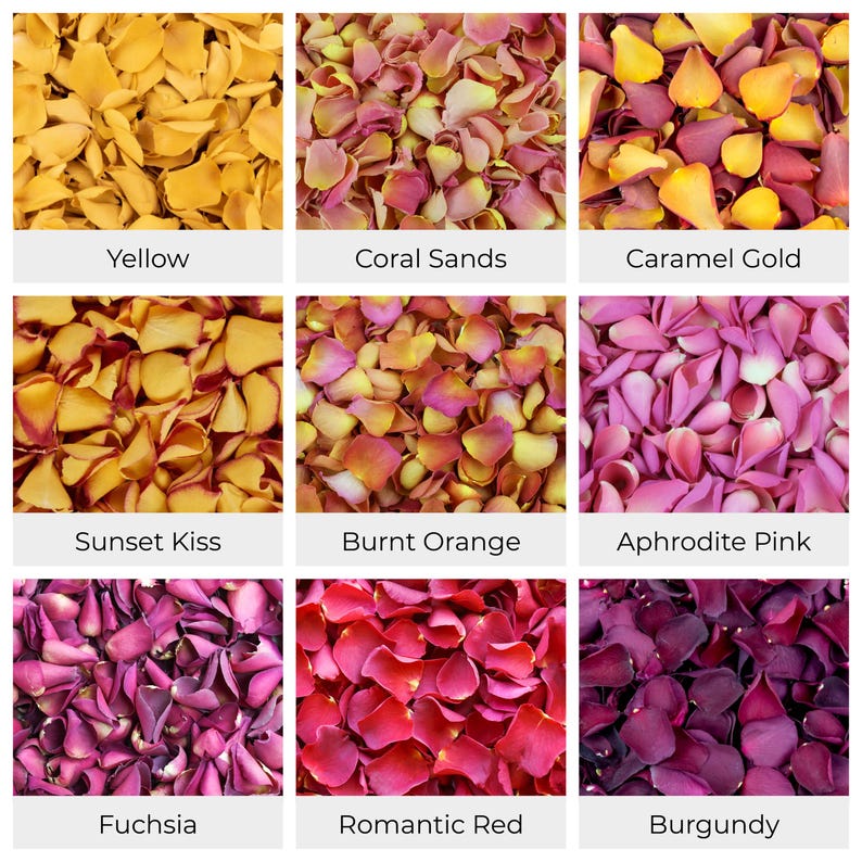 Wedding Confetti - Rose Petals | Hydrangea Petals | Biodegradable Freeze Dried Petals | Table Decor, Aisle Runners, Flower Girl Petals image 4