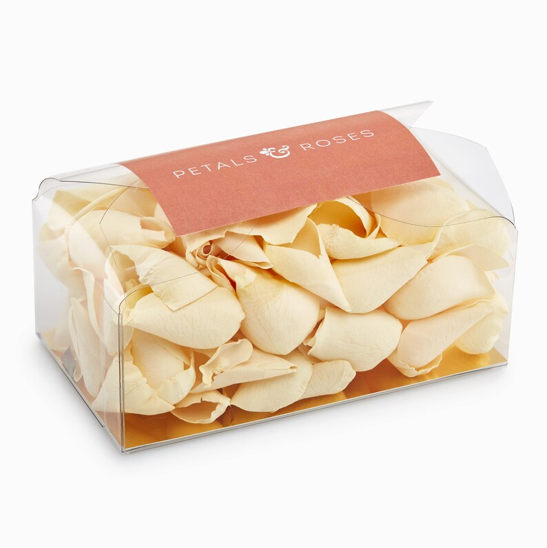 Table Decor Luxury Cream Rose Petals Aisle Runners Biodegradable Freeze Dried Petals Valentines Day Throwing Confetti Proposals