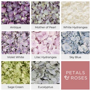 Wedding Confetti - Rose Petals | Hydrangea Petals | Biodegradable Freeze Dried Petals | Table Decor, Aisle Runners, Flower Girl Petals image 6