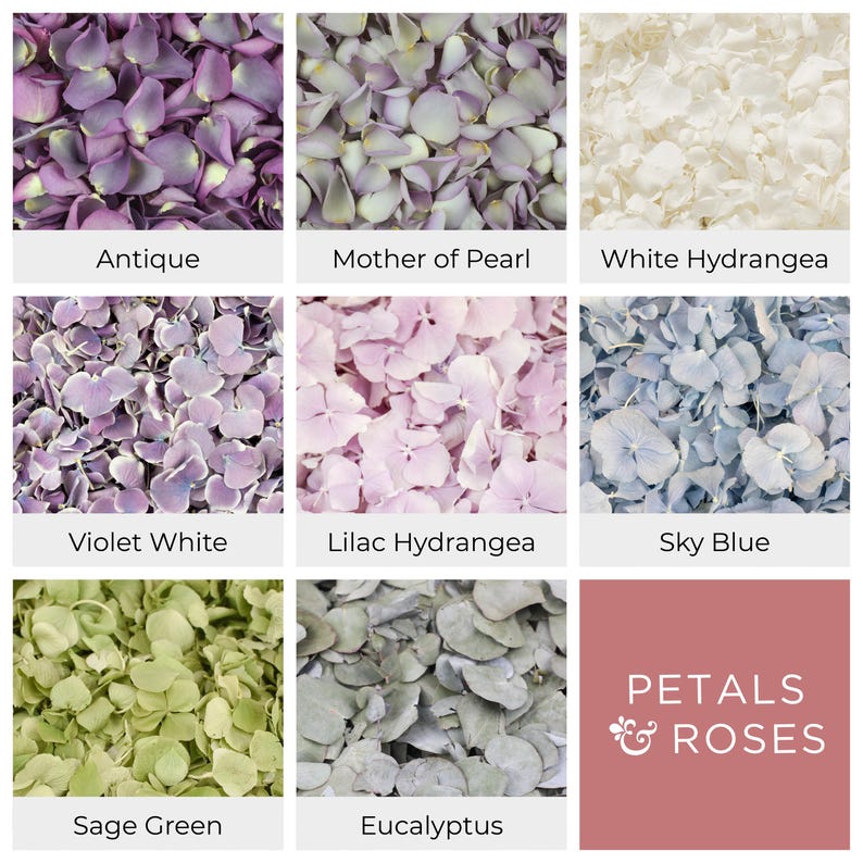 Wedding Confetti - Rose Petals | Hydrangea Petals | Biodegradable Freeze Dried Petals | Table Decor, Aisle Runners, Flower Girl Petals image 6