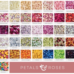 Pétales de rose | Pétales d'hortensia | Confettis de pétales de rose | Confettis biodégradables | Confettis de mariage de luxe | Mariage d'automne (2 litres)