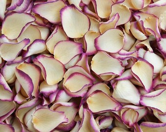 Damson Velvet Dried Rose Petals | Burgundy and Cream | Luxury Biodegradable Rose Petal Confetti | Petals for Weddings, Parties and Events