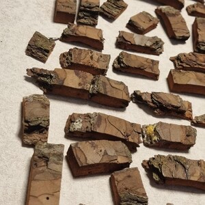 Peut inclure: Un ensemble de morceaux d'écorce de bois naturels de formes irrégulières, de tailles et de formes variées. Les morceaux d'écorce sont principalement bruns avec des surfaces texturées et des zones plus claires. Certains ont un bord rugueux et inégal.