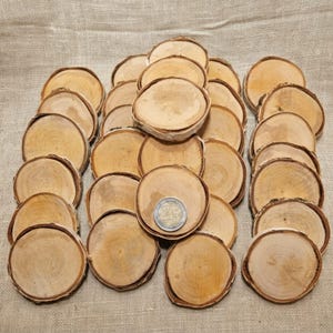 Könnte beinhalten: Eine Sammlung zahlreicher kreisförmiger Holzscheiben mit natürlicher Rindenkante, die in einem gitterartigen Muster angeordnet sind. Auf einer Scheibe in der Mitte liegt eine silberfarbene Zwei-Euro-Münze, die als Größenvergleich dient.