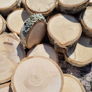 Op de afbeelding: Een verzameling natuurlijke houten schijven, elk met een lichtbruin, cirkelvormig oppervlak en een donkerbruine schorsrand. De houten schijven variëren in grootte en zijn in een stapel gerangschikt, waarbij de natuurlijke nerfpatronen en texturen worden getoond.