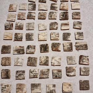 May include: A collection of small, square pieces of birch bark, each with a unique pattern of light brown, dark brown, and white hues. The pieces are arranged in a grid-like pattern, showcasing the natural texture and variations of the bark.