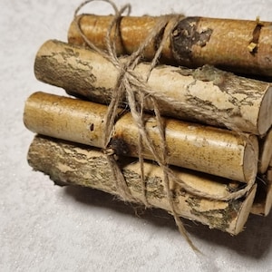 12 sztuk brzozowych bali/gałązek do akwarium dla gadów, dekoracji akwarium, małych zabawek dla zwierząt