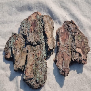 Natürliche Kiefernrindenplatten, Terrarium Dekor, Litauischer Wald, 2er-Set